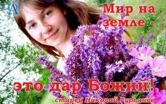 c_005.jpg